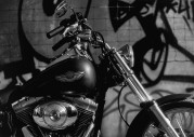 Harley-Davidson FXST Softail Standard